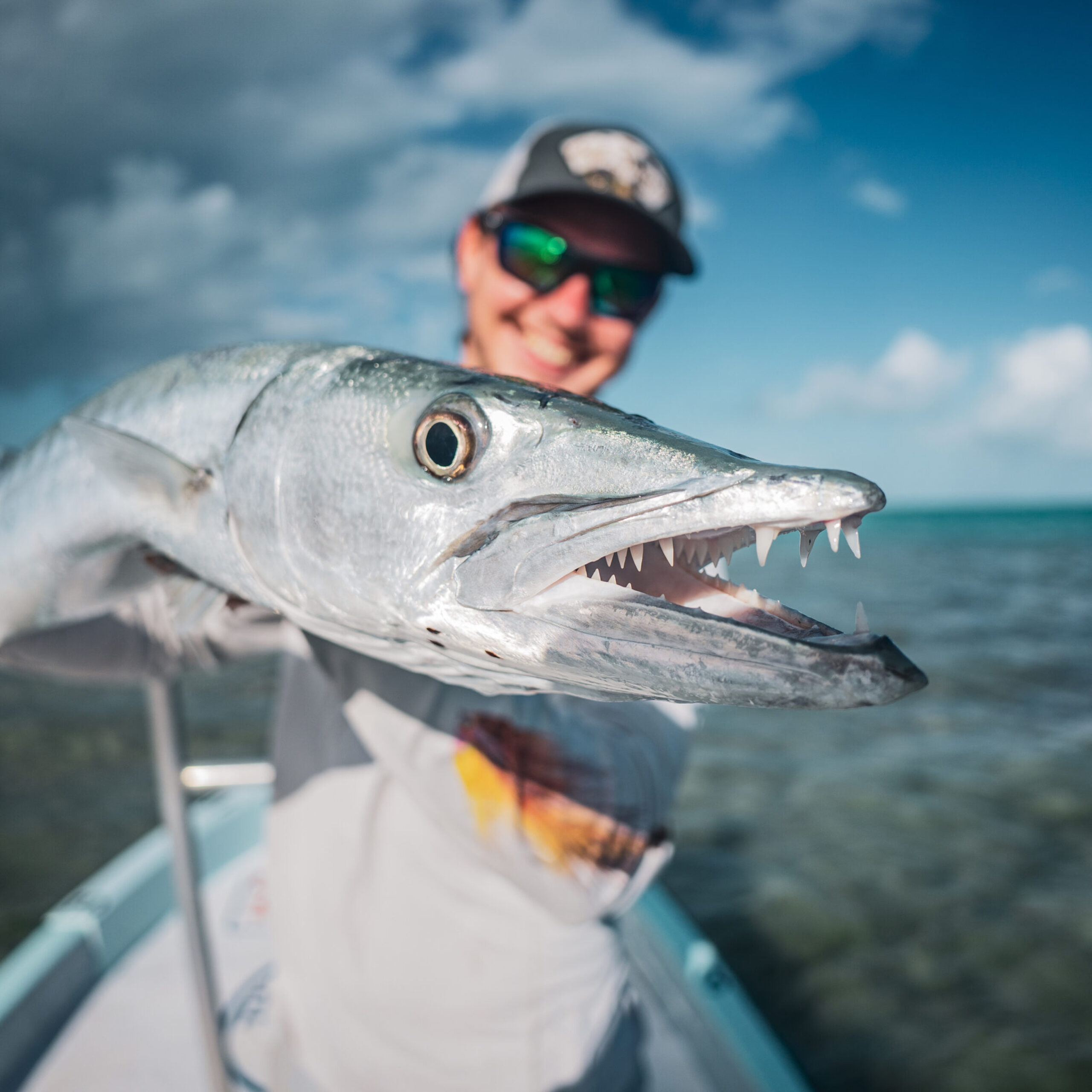 barracuda fly fishing in ascension bay