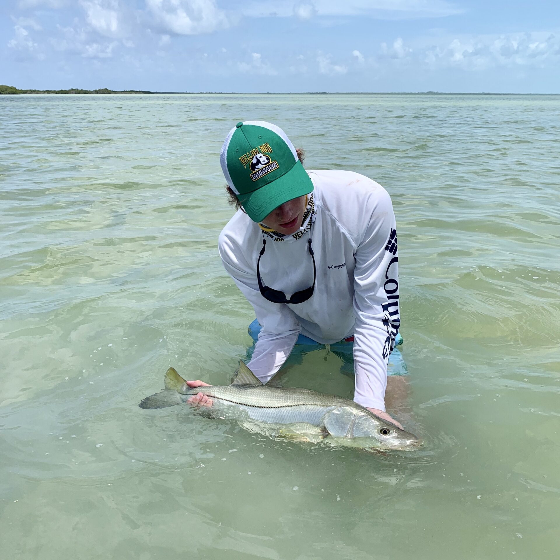 snook ascension bay mexico