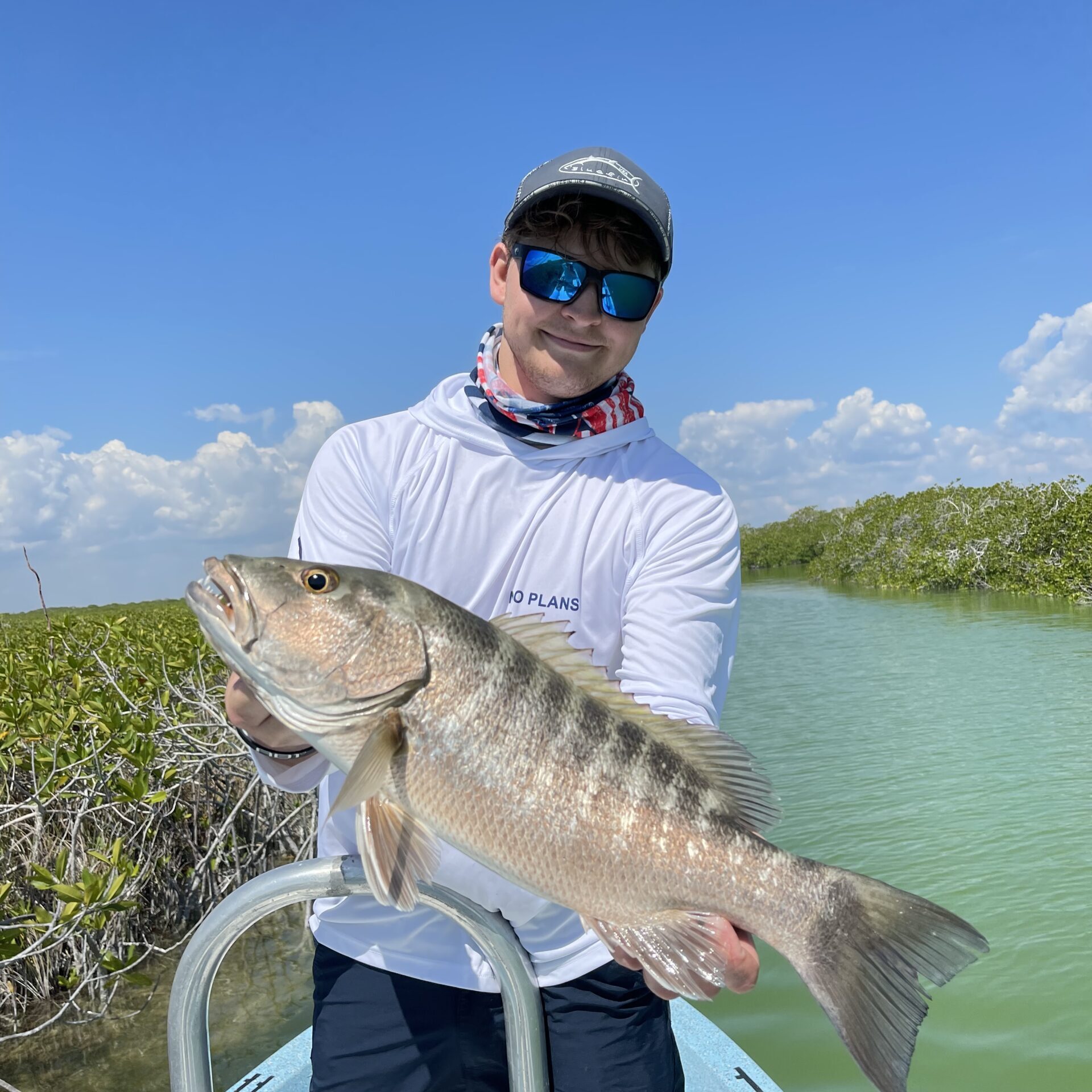 cubera snapper