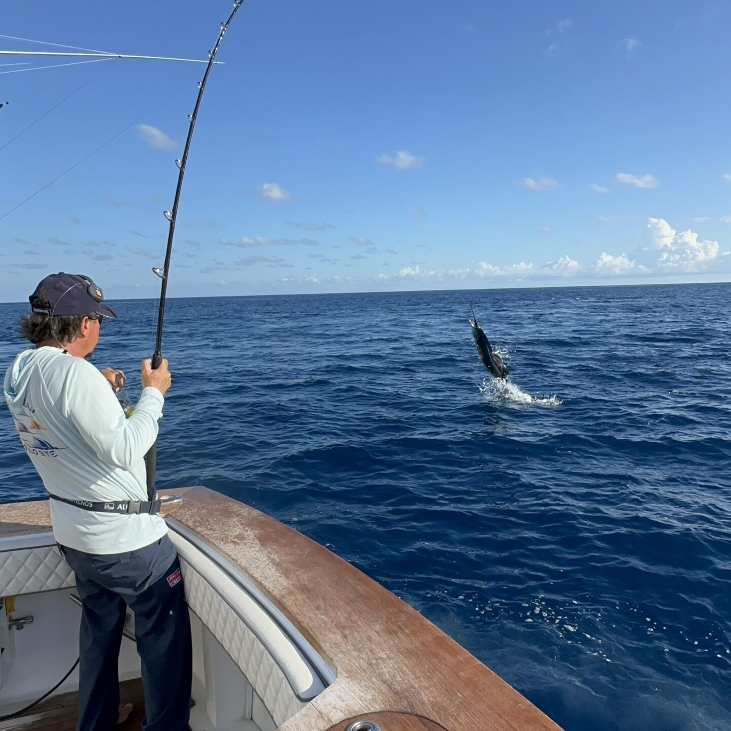 Amberjack