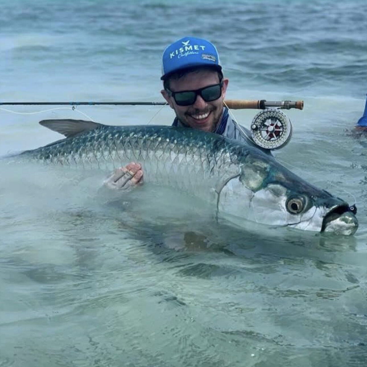 giant tarpon