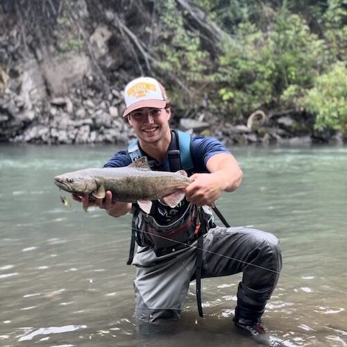 chinook salmon terrace bc canada