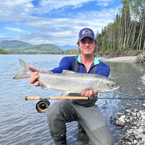 Sockeye Salmon