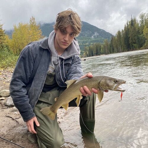 Bull Trout