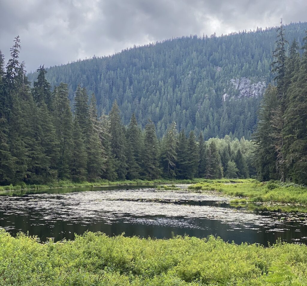 Skeena river