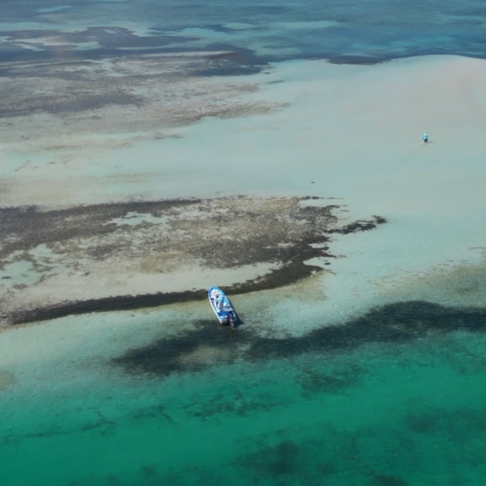 snorkeling ascension bay mexico