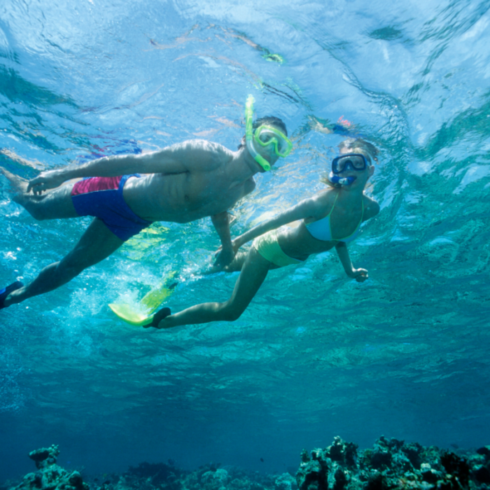 snorkeling ascension bay mexico