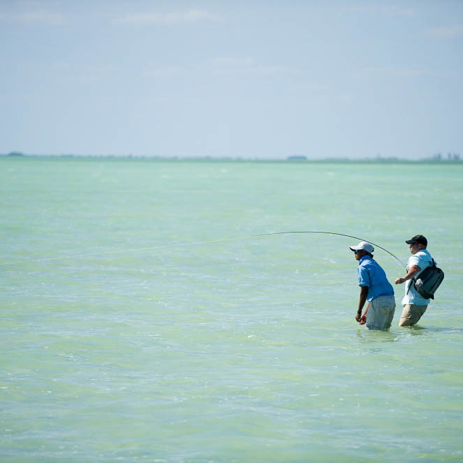 fishing ascension bay mexico