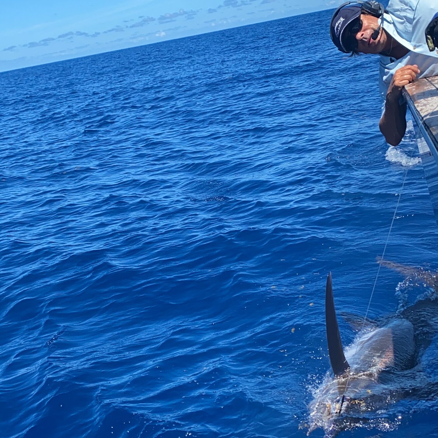 blue marlin fishing cap cana