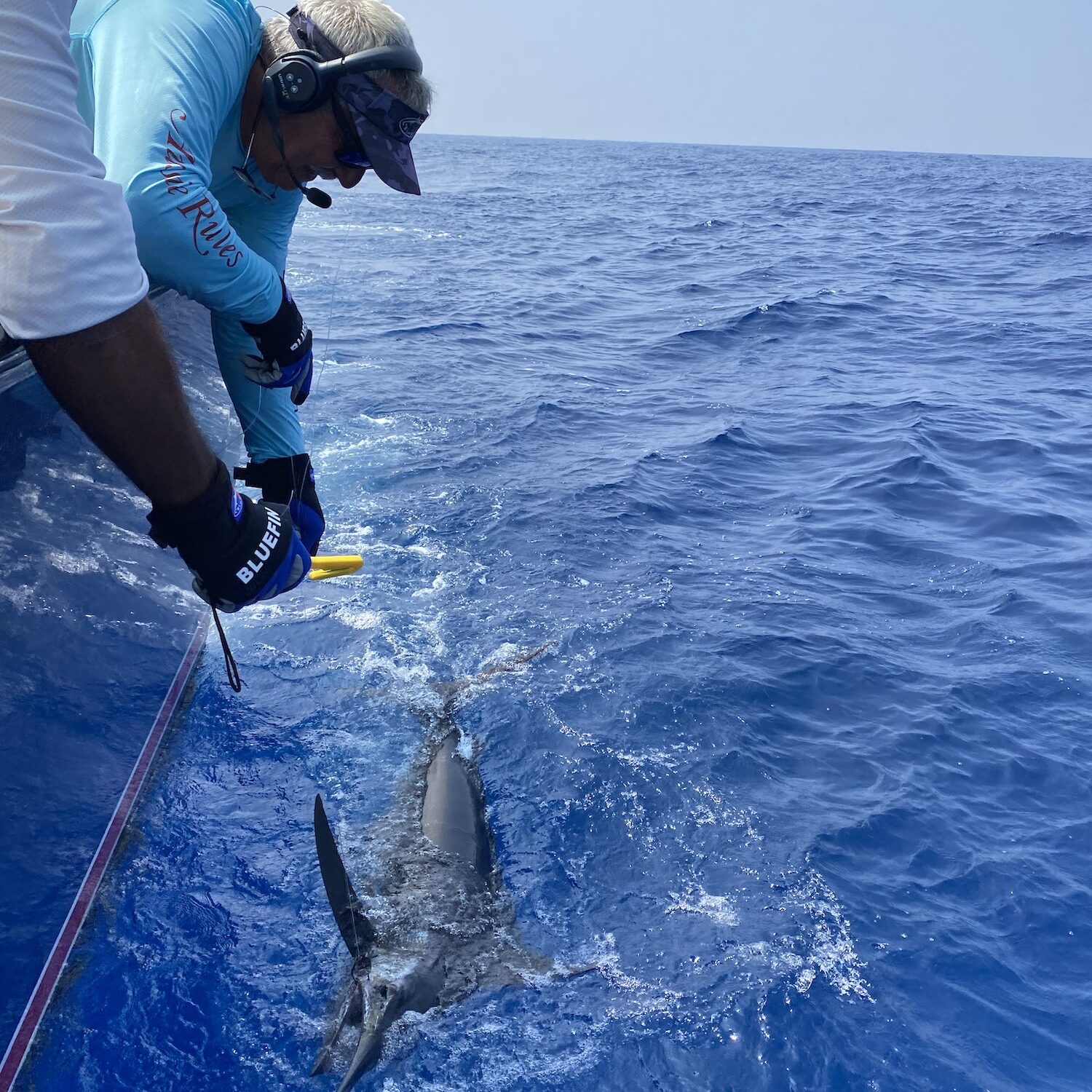 blue marlin fishing cap cana